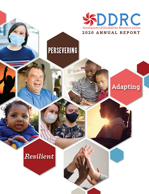 View DDRC's 2017 Annual Report